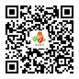 23409389378463675