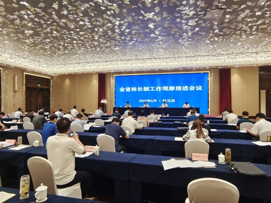 河南已设立6万余名五级林长，构筑山水林田湖草沙生命共同体
