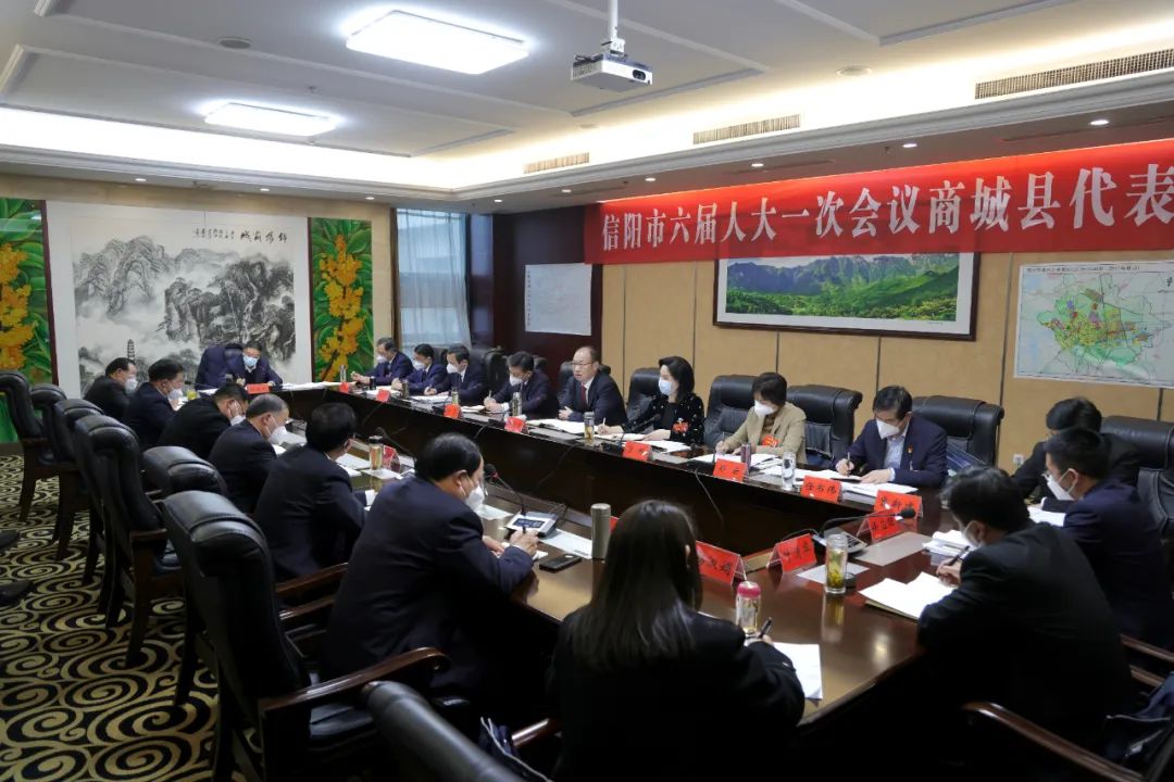 蔡松涛参加市六届人大一次会议浉河区、商城县、固始县代表团审议