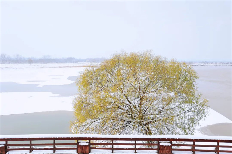 雪在黃河邊落成一幅畫