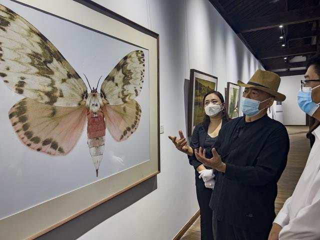 【行走河南·读懂中国】开封：朱仙镇国际版画基地举办开幕画展