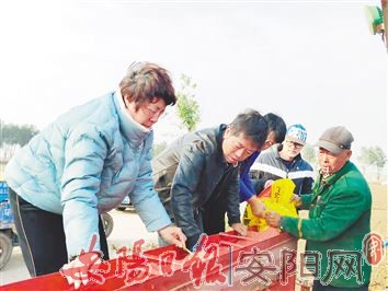 【安阳】“以技补晚”保丰收 ——全市小麦晚播侧记