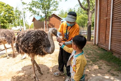 中秋小长假，郑州接待游客逾430万！实现旅游总收入逾20亿