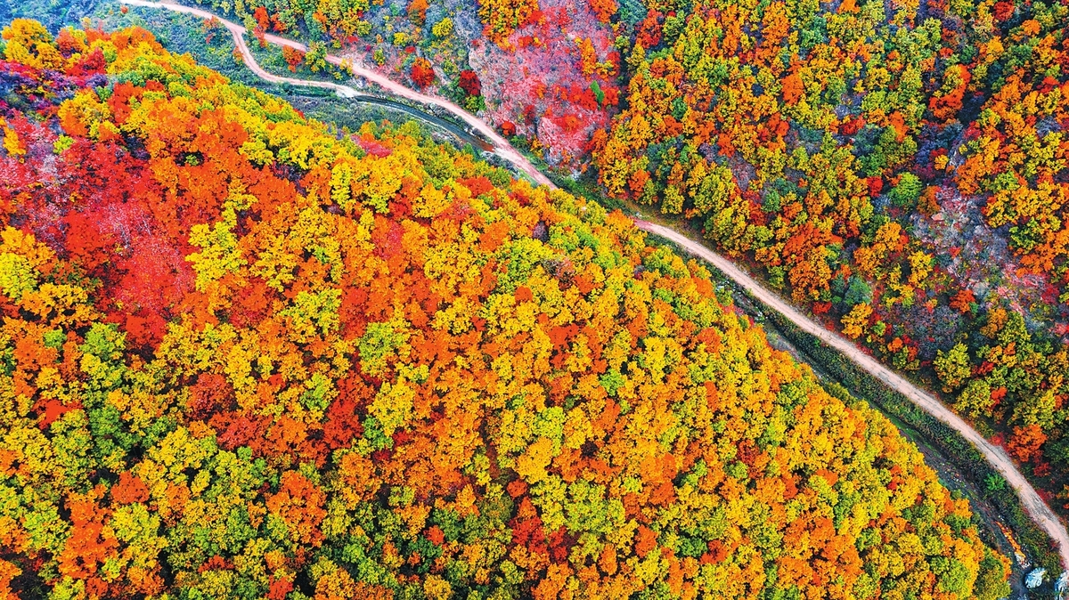 ��5����ԭ��������ģʽ