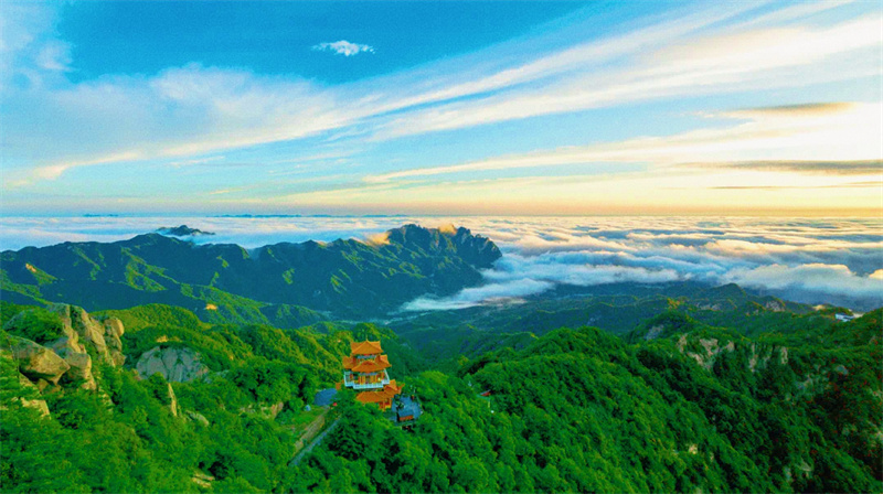 行走河南·读懂中国丨这个假期，来白云山追一场日出云海