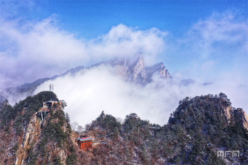 行走河南·读懂中国｜南阳老界岭：今春第一场雪后迎壮美云海