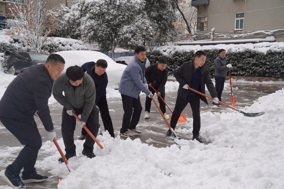 省农业农村厅 开展“除积雪  畅通行”志愿服务活动