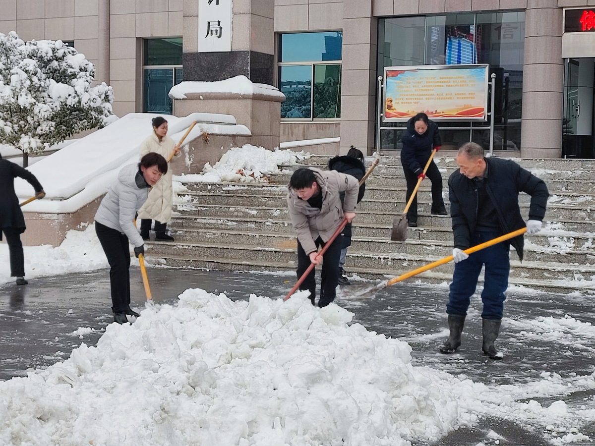 冬日初雪悄然至 审计干部清雪忙 ——开封市审计局开展扫雪除冰活动