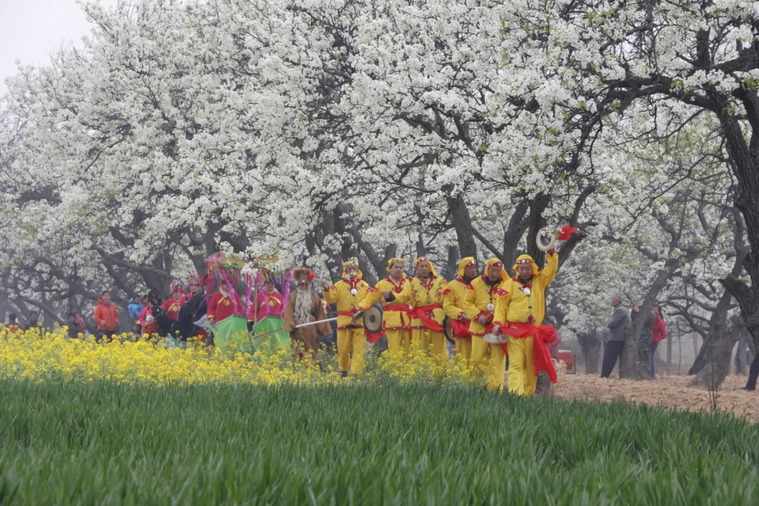 泌阳县古梨树群