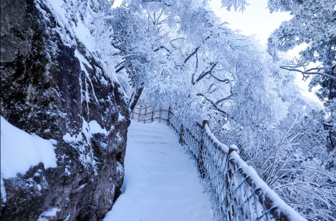 白云山：冬已至，雪入怀