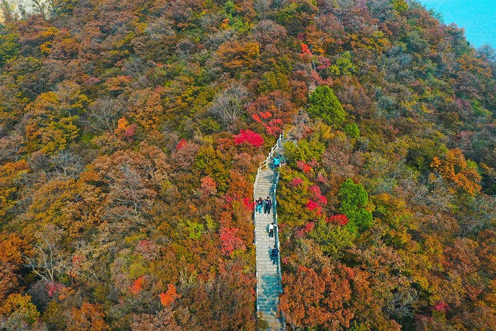 玩转双节 | 焦作推出400余项文旅活动和惠民措施