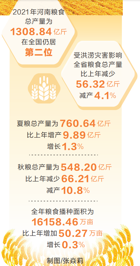 2021年河南粮食总产量1308.84亿斤 2021年河南粮食总产量1308.84亿斤