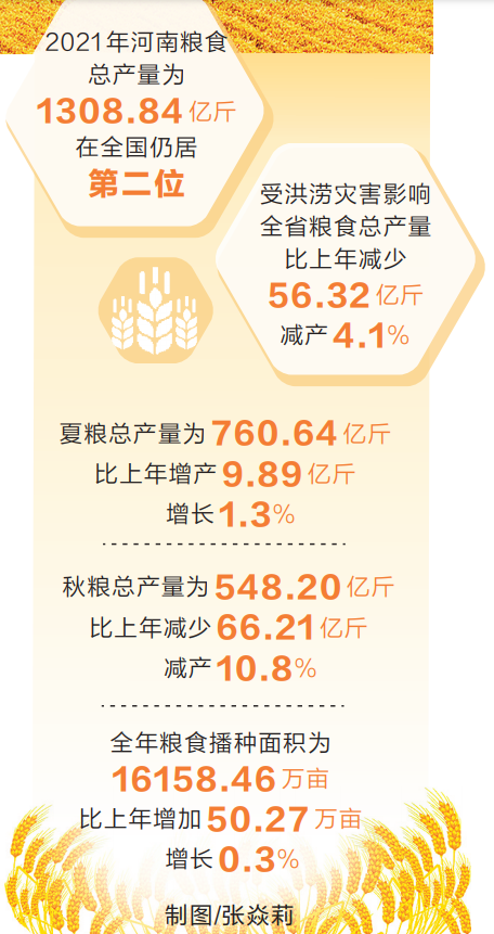 2021年河南粮食总产公布：1308.84亿斤