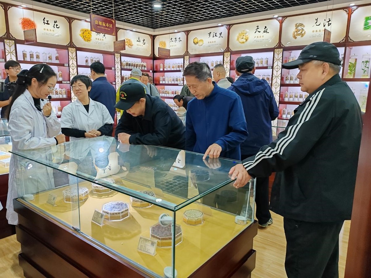 鹤壁市：组织开展中医药文化体验活动