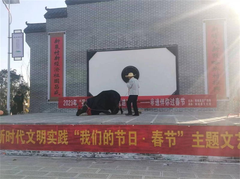 民俗文化笑开颜 红红火火过大年——信阳春节民俗文化活动精彩上演