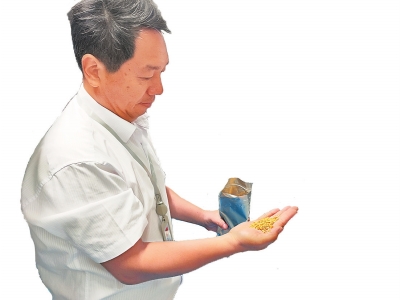 让小麦像沙漠植物一样抗旱耐热