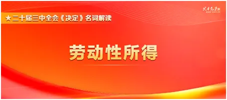 黨的二十屆三中全會《決定》名詞解讀丨勞動(dòng)性所得