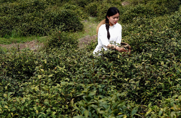 留乡人·归乡人·新乡人：河南大别山区文旅蝶变的青春密码