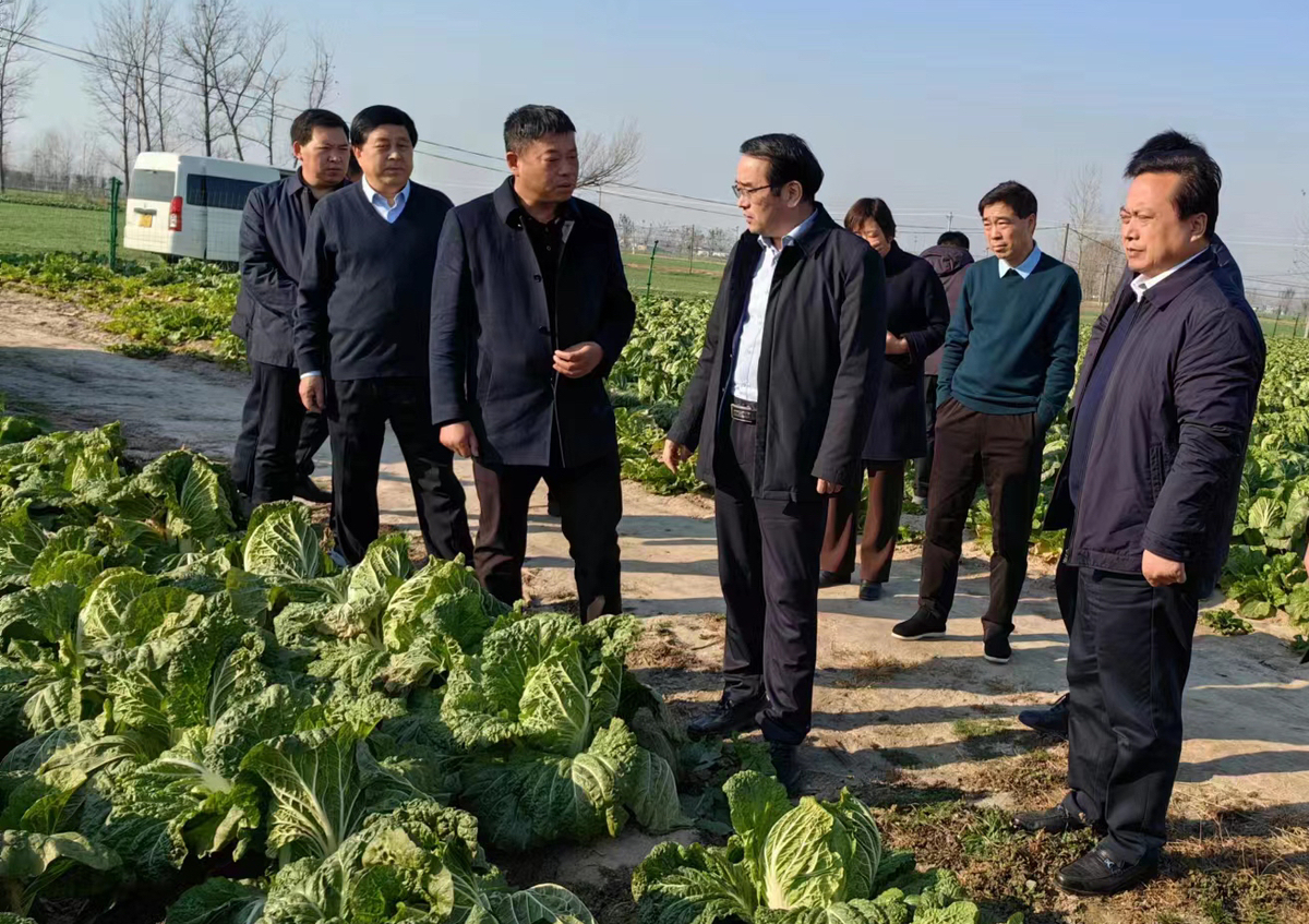 孫巍峰到商丘市、開封市調(diào)研高標準農(nóng)田建設(shè)、產(chǎn)業(yè)發(fā)展等工作