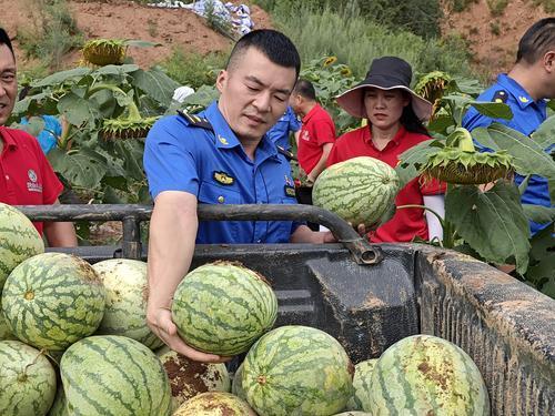 河南洛阳：爱心企业帮忙 现场认购2.5万公斤西瓜