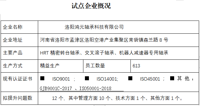 洛阳鸿元轴承科技有限公司