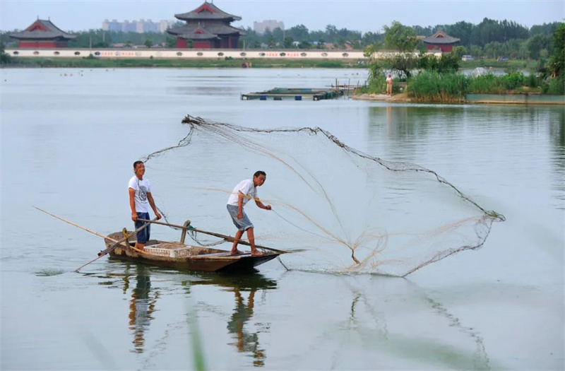 行走河南·读懂中国丨商丘古城：文旅融合焕发新活力