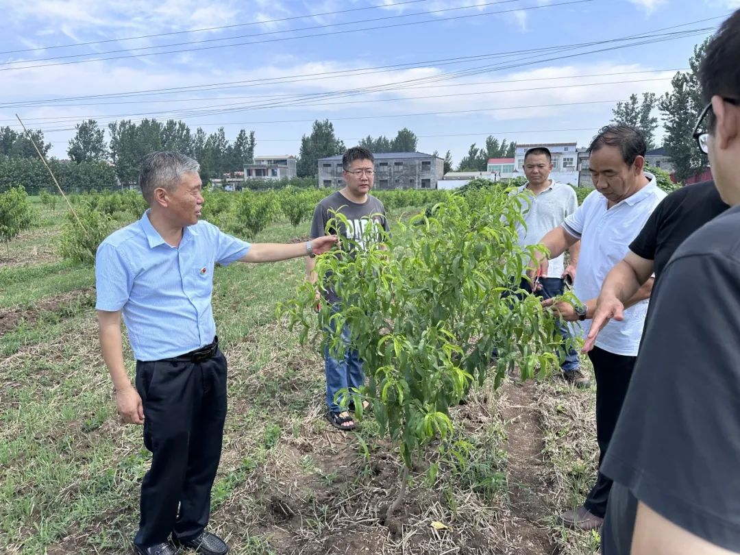 上蔡县丁赵社区开展<br>庆“七一”支部结对共建主题党日活动