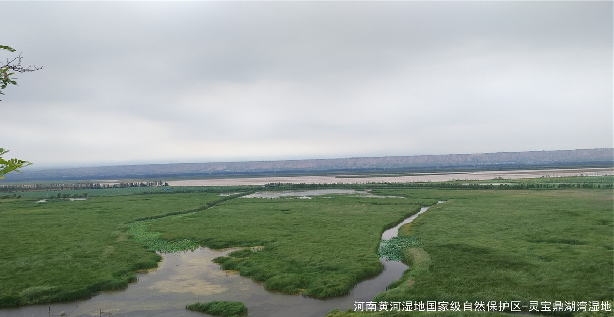 自然保護(hù)地
