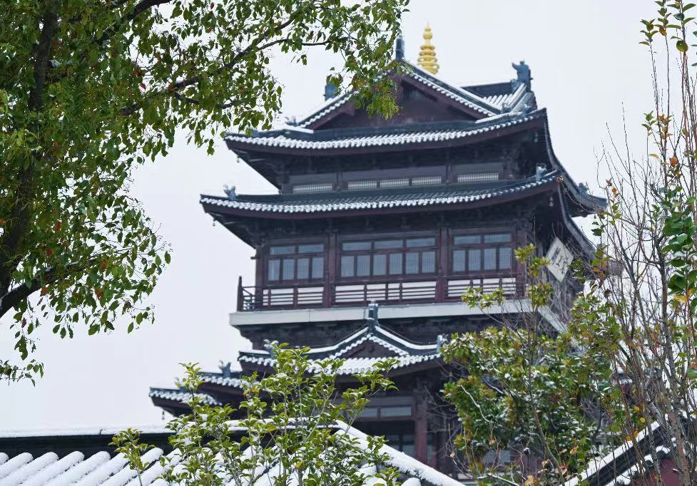 平舆：雪落无声意悠悠