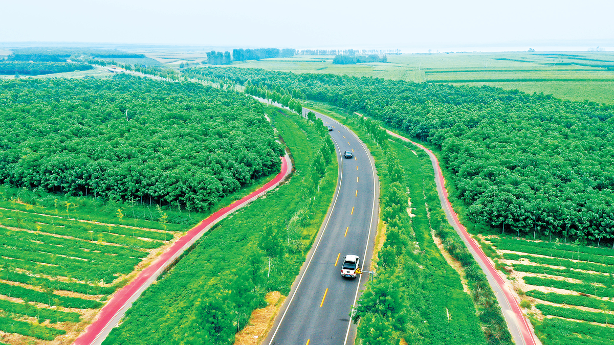 贯穿武陟县黄河滩区的"四好农村路"王园公路两侧郁郁葱葱,生机盎然(9