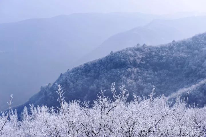 行走河南·读懂中国丨