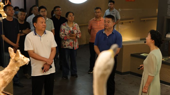 河南博物院领导调研贾湖遗址博物馆、驻马店博物馆