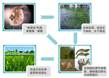 河南省生态水利技术工程研究中心