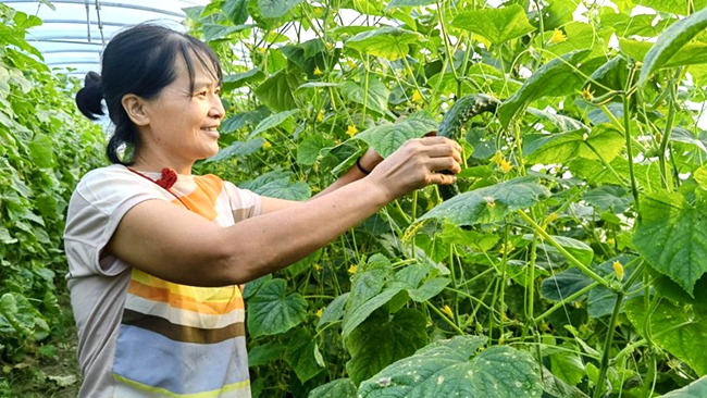 杞县：巩固脱贫攻坚成果 全面推进乡村振兴