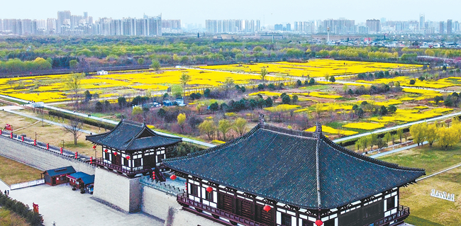 洛阳市仿古建筑相互映衬 呈现“隋唐春色”盛景