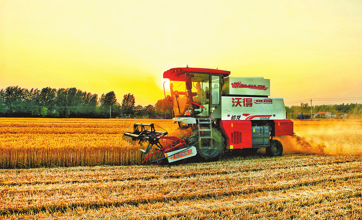 非常之年战三夏