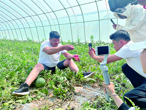 河南鹤壁：网红直播带货  带火农户日子