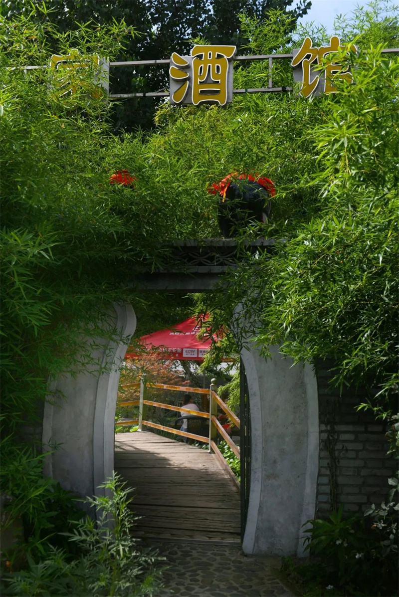 行走河南·读懂中国丨宝丰邢庄村：移步换景 酒香盈村