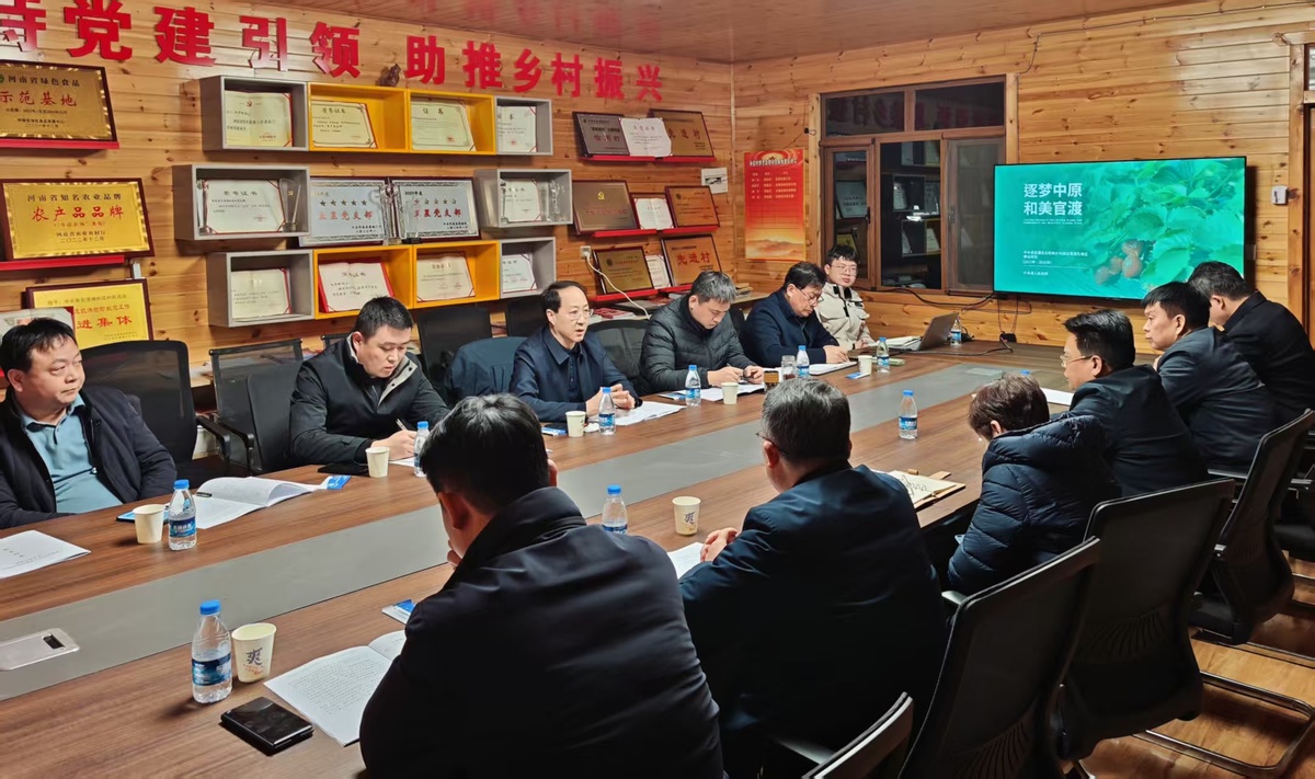 谢长伟到郑州市中牟新区调研 <br>宜居宜业和美乡村先导区建设工作