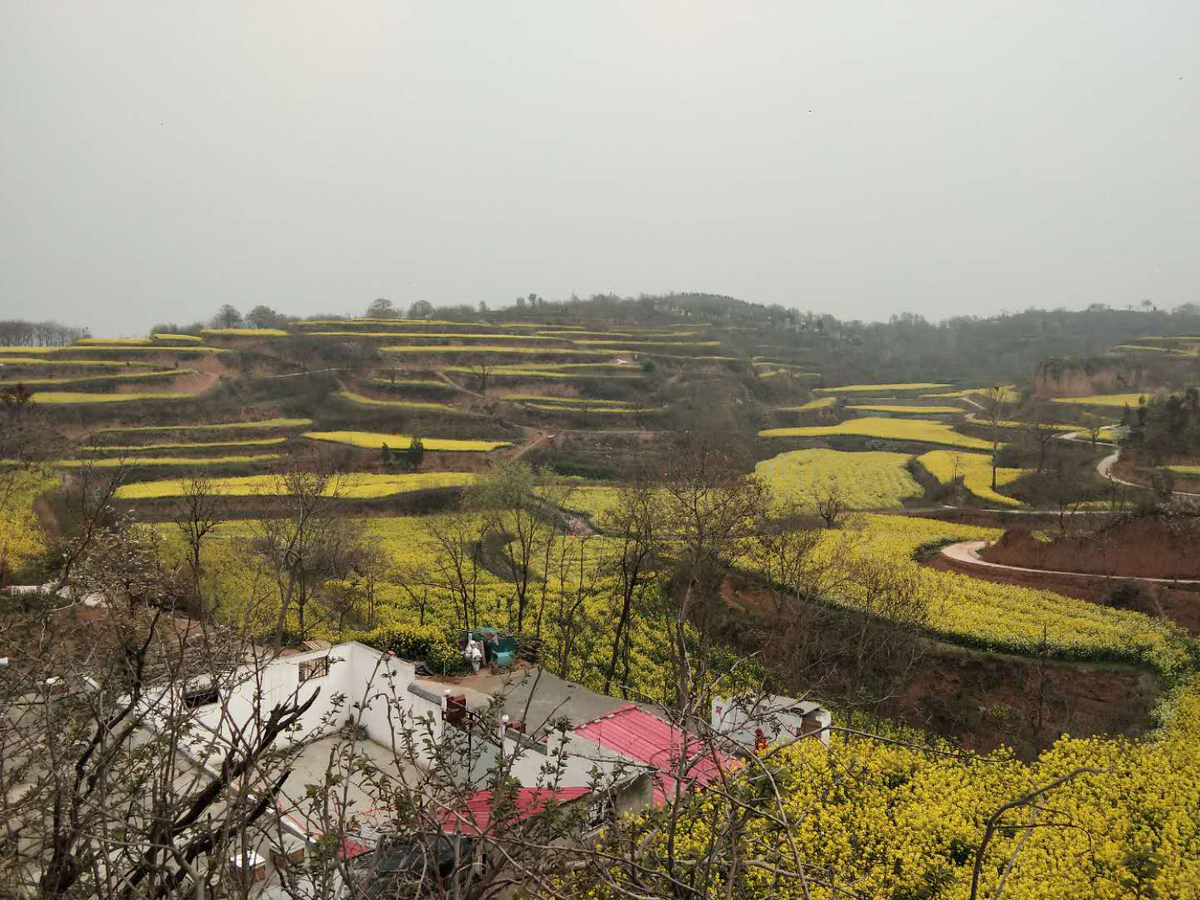 河南省文化和旅游厅党组书记宋丽萍一行 调研新密市乡村旅游和公共文化服务工作