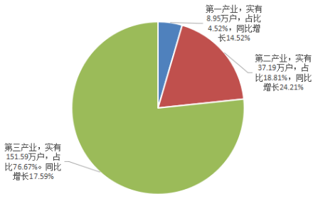 2020年上半年河南省市场主体发展分析报告
