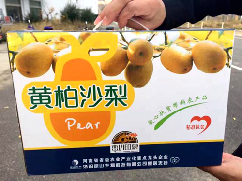 【林果】洛阳深山生物科技有限公司：互利共赢脱贫路