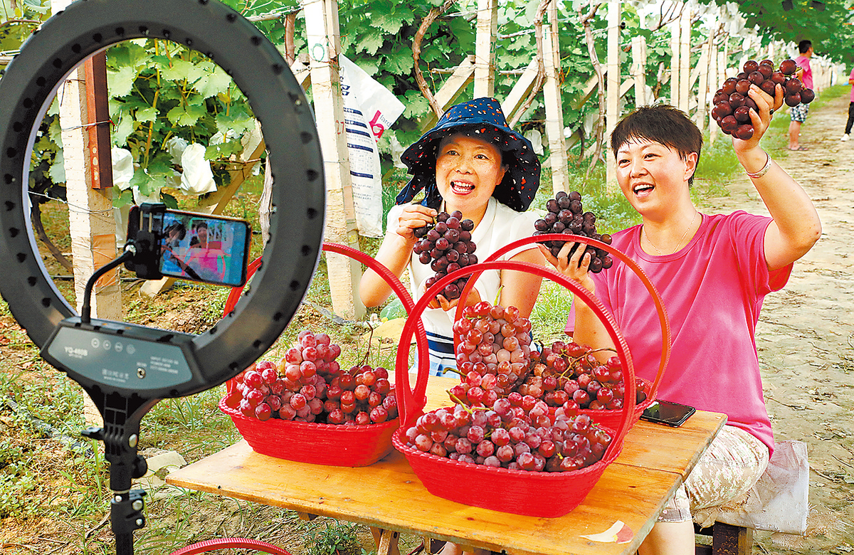 多彩農(nóng)業(yè) 助農(nóng)增收