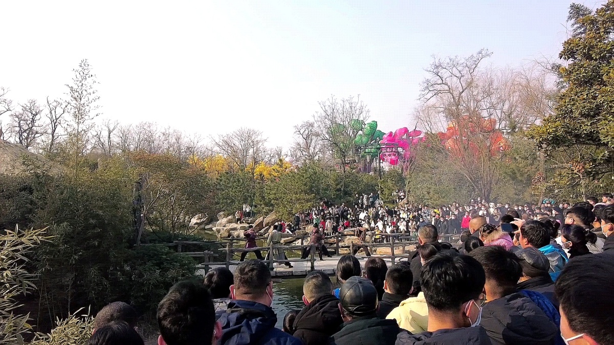 大年初一 开封市部分景区游人如织