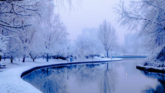 校园雪景