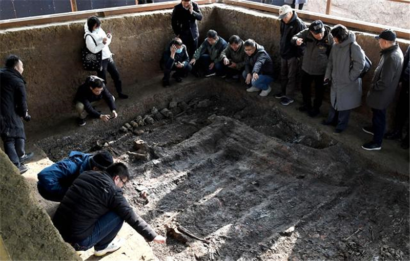 河南洛阳发现2600多年前戎人王级大墓