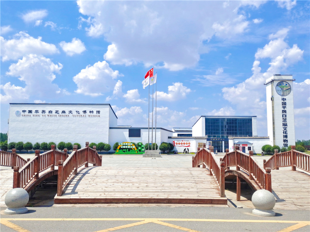 中国平舆白芝麻文化博物馆.jpg