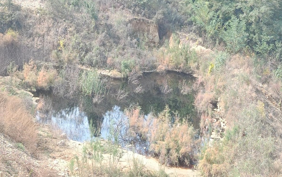 典型案例 | 鹤壁市河南森浦生物科技有限公司违规占地 破坏生态 污染严重