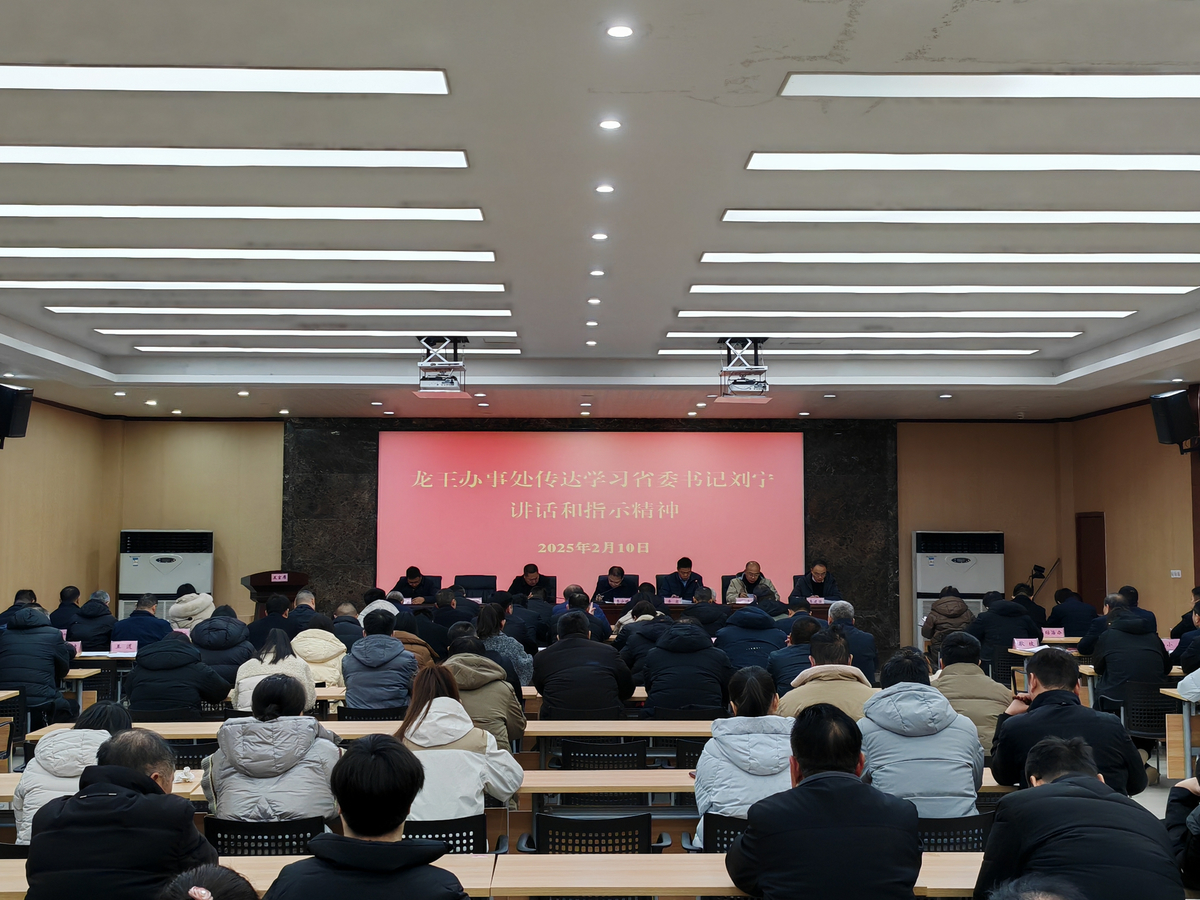 龙王办事处传达学习省委书记刘宁 讲话和指示精神