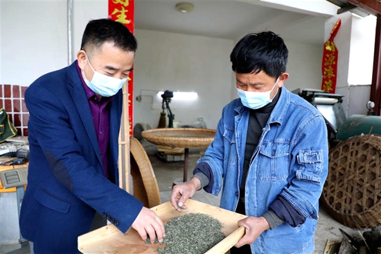 河南省信阳市浉河区：茶农抱团谋发展